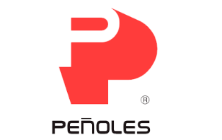 Solex & IBM Maximo | Caso de éxito Grupo Peñoles