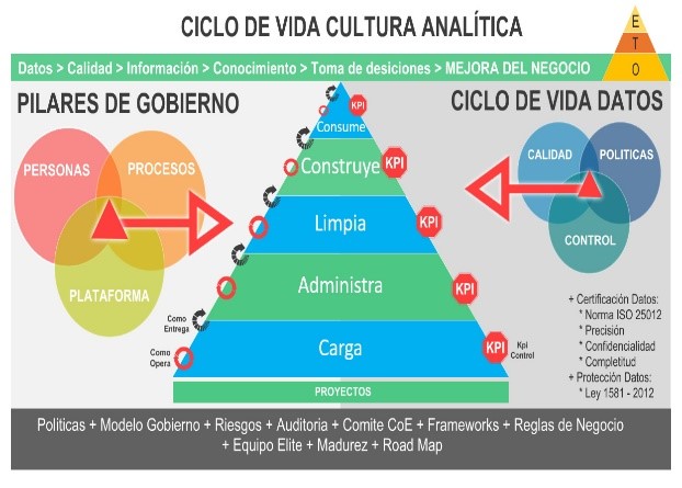 ciclo de vida cultura analitica