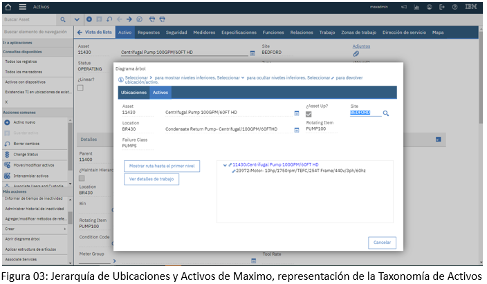 jerarquia de ubicacion y activos