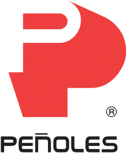 penoles minera eam