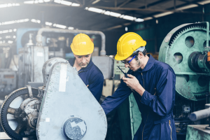 fuerza trabajo terreno ibm