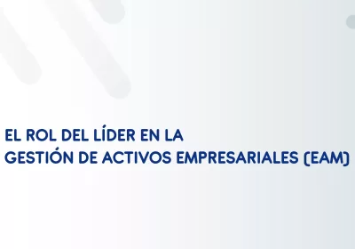 lider en la gestion de activos ibm solex