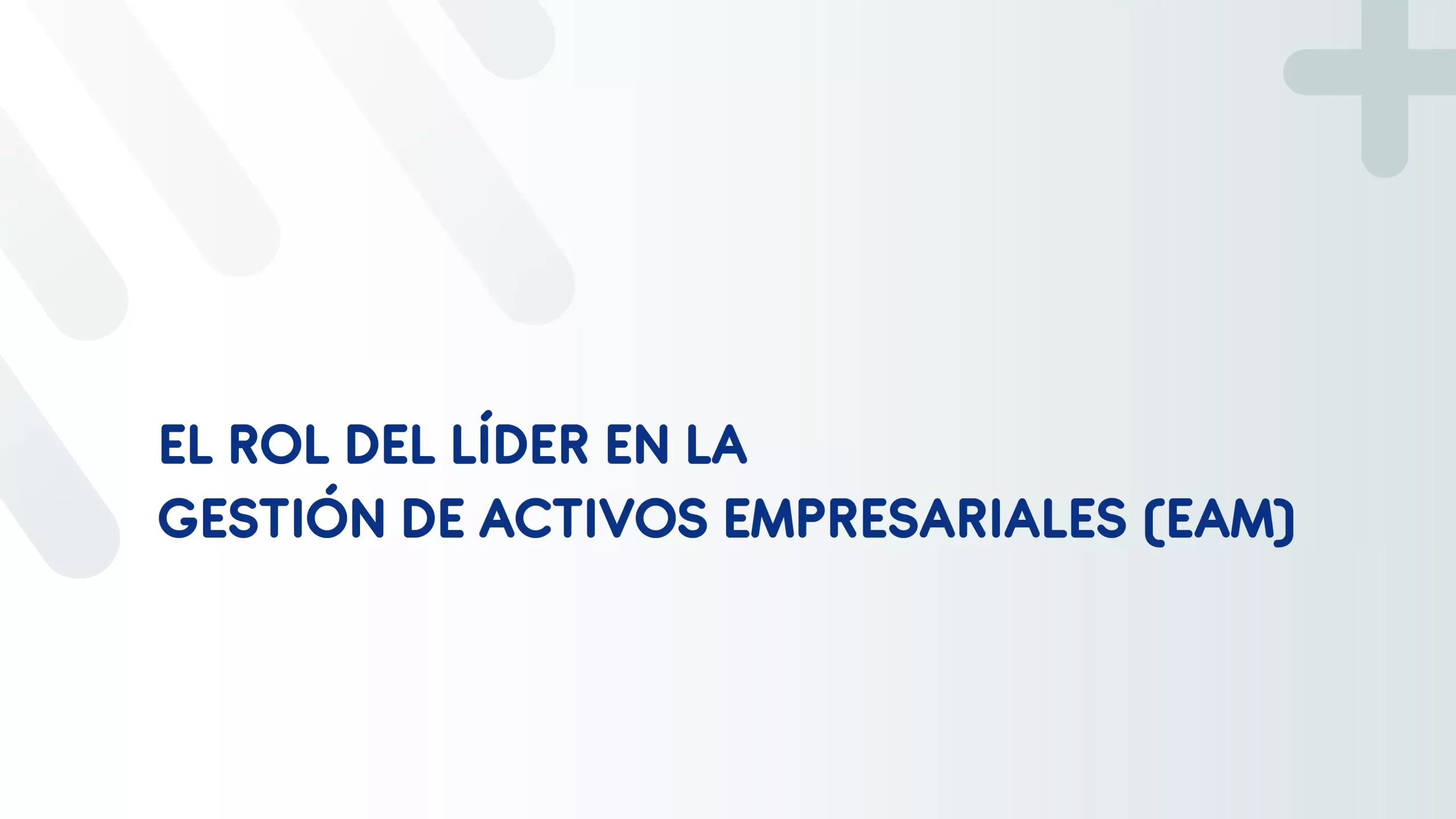 lider en la gestion de activos ibm solex